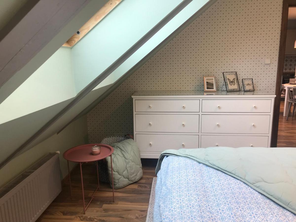 Apartment Attic On Waterfront / View / Netflix Prag